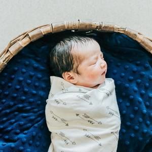 Meet your Posher, Bertha